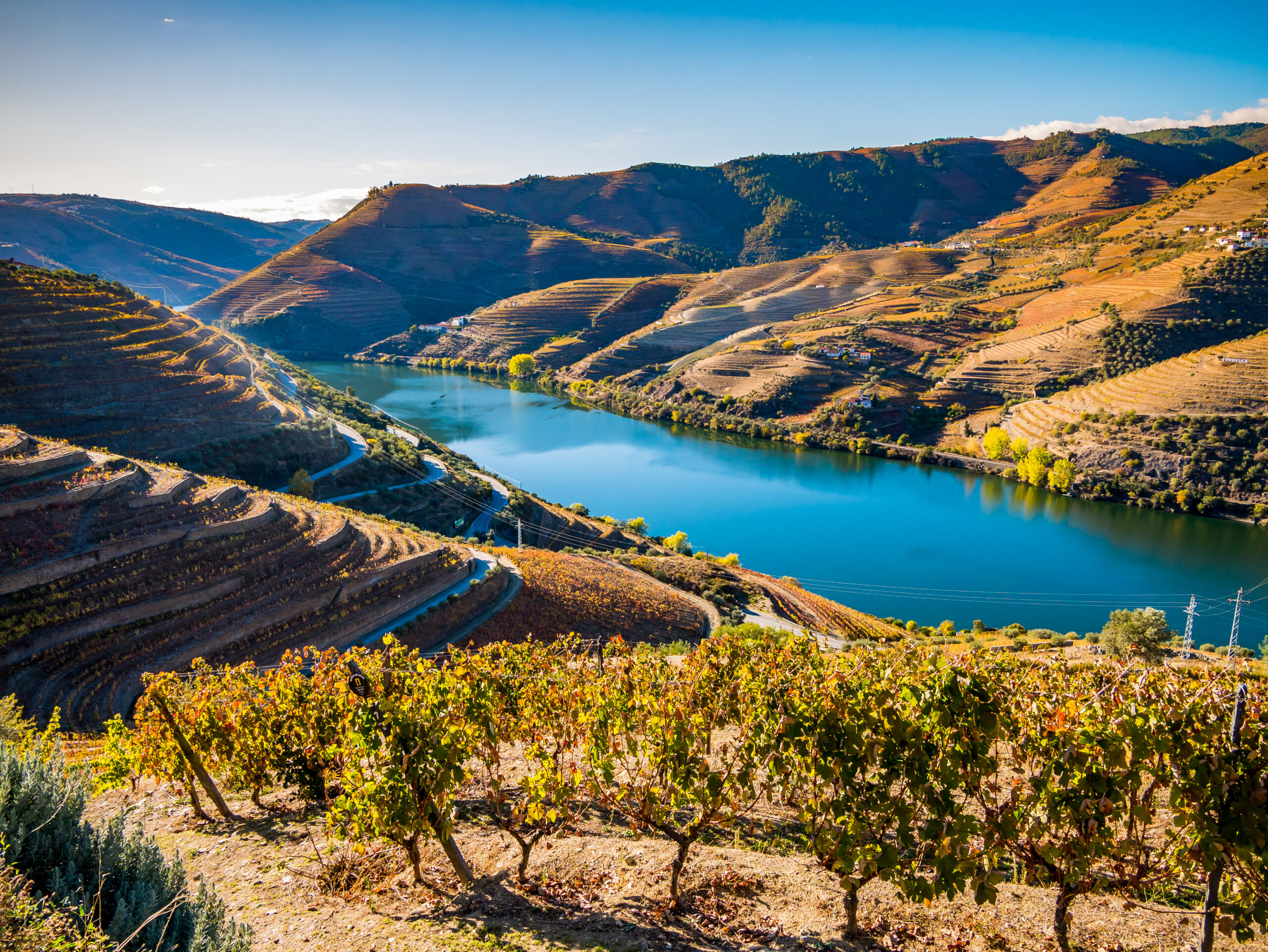 Cruise on the Douro river - activity image