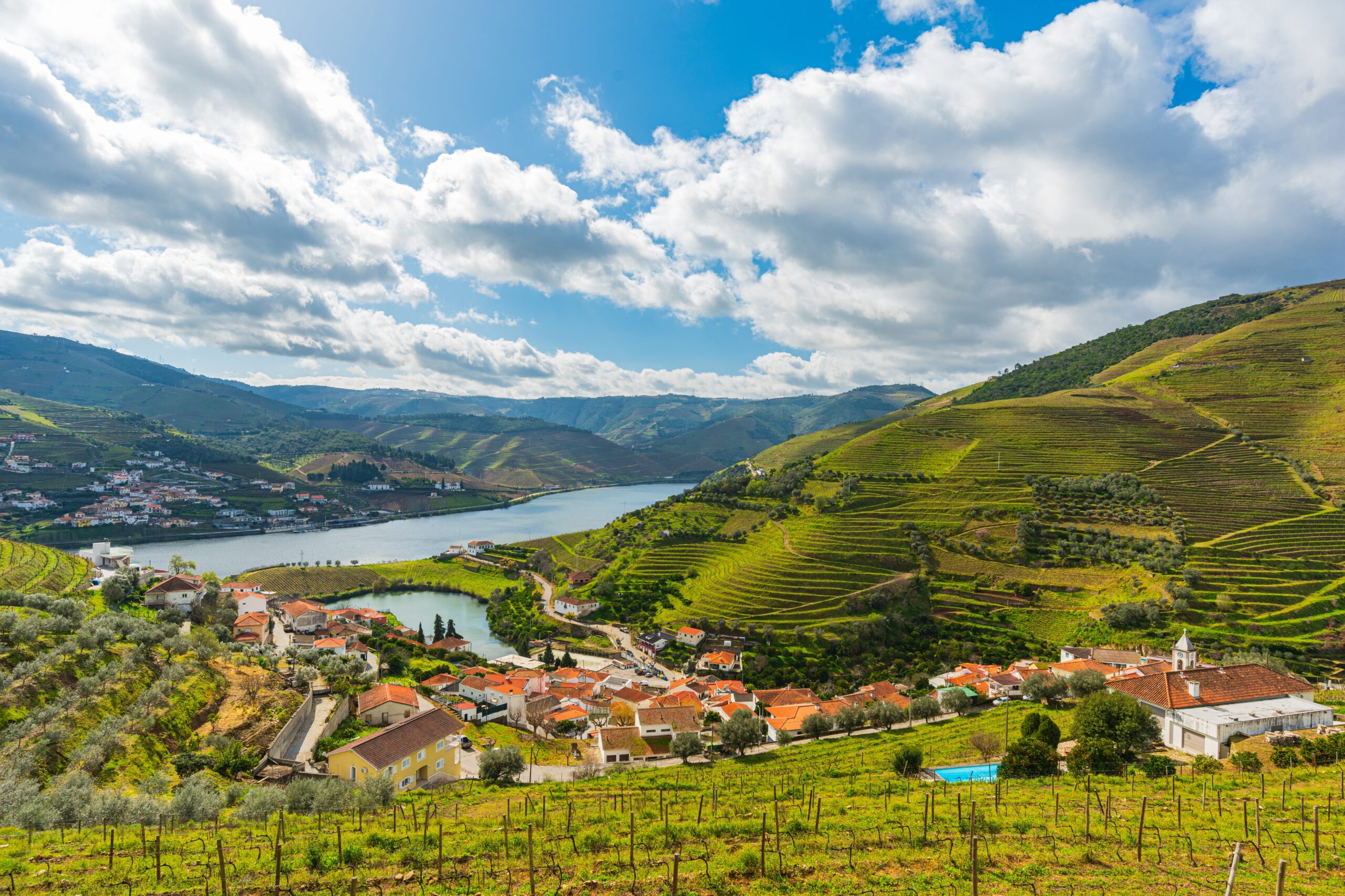 Circuit touristique dans la vallée du Douro - activity image