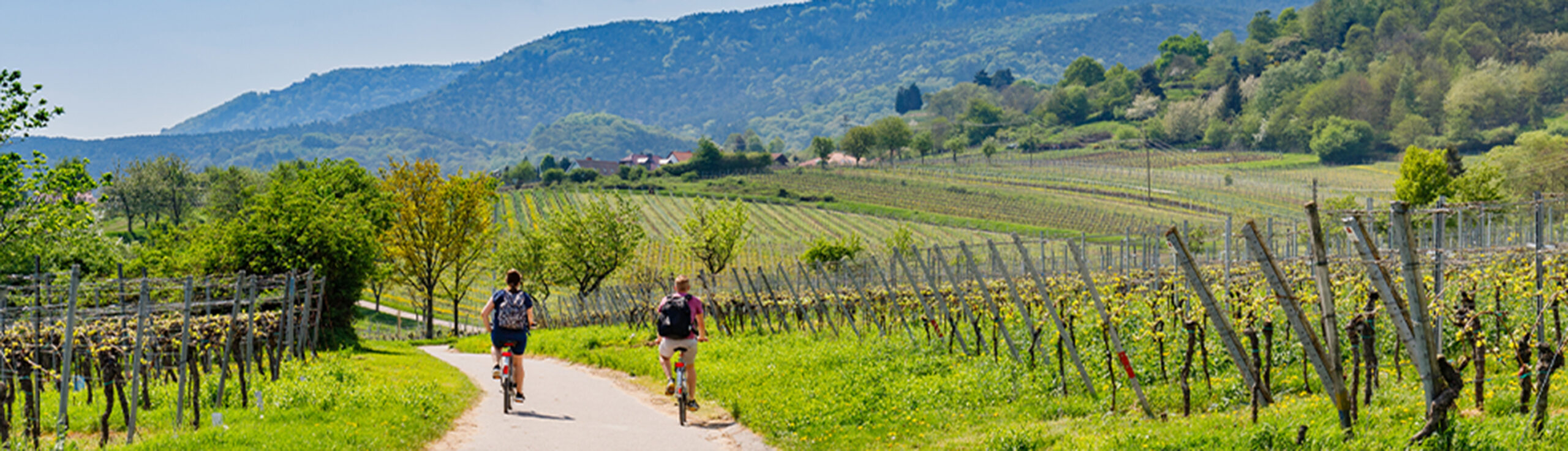 Balade à vélo image