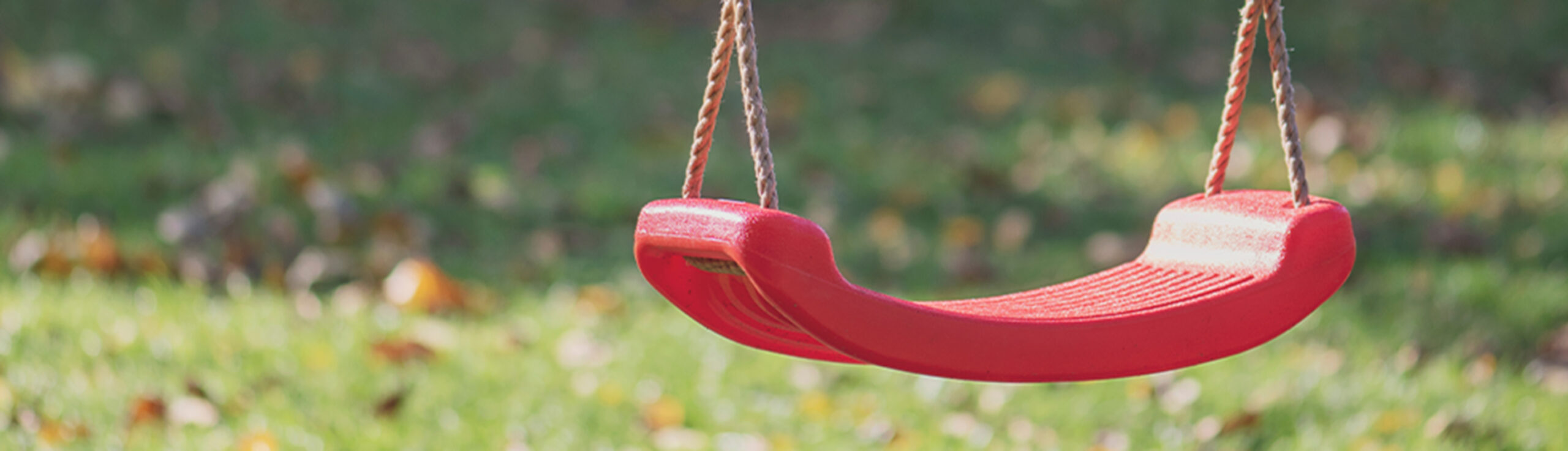 Children's play area with swing and trampoline image