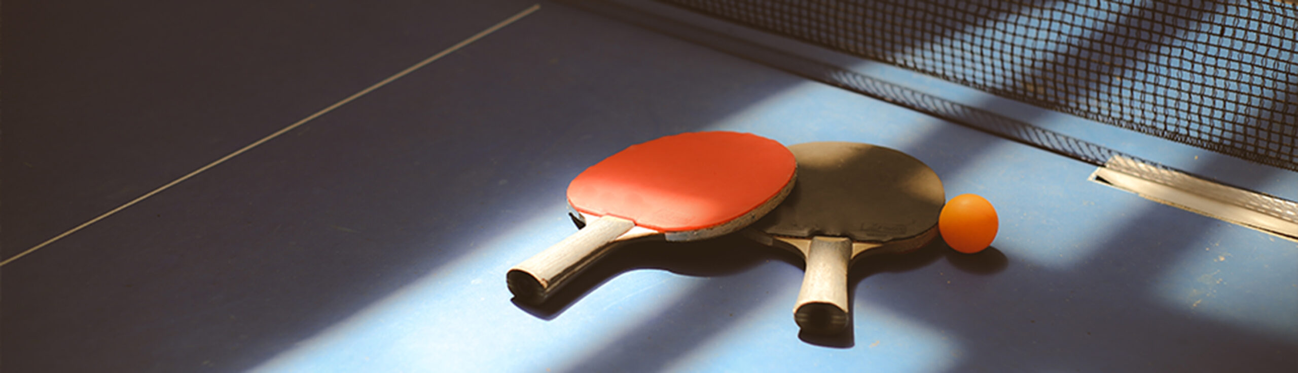 Ping Pong table image