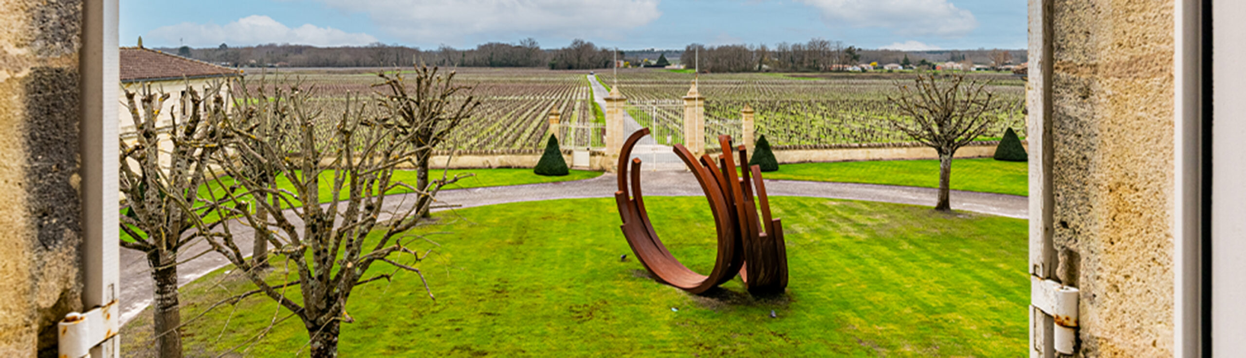 Vue sur les vignes image