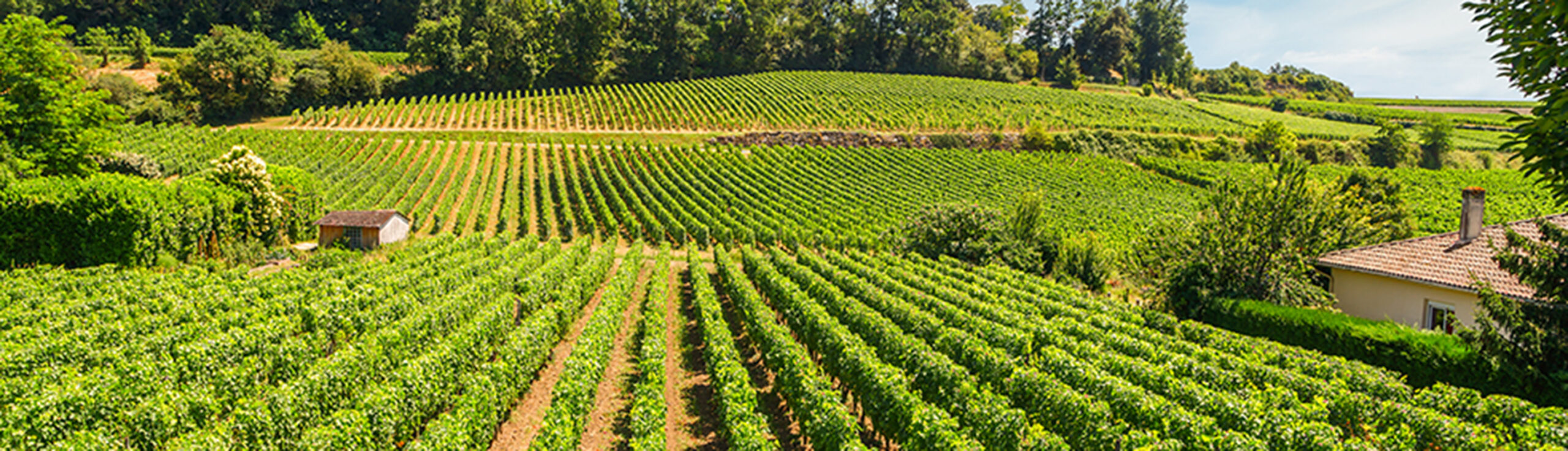 1850-hectare park and vineyards image