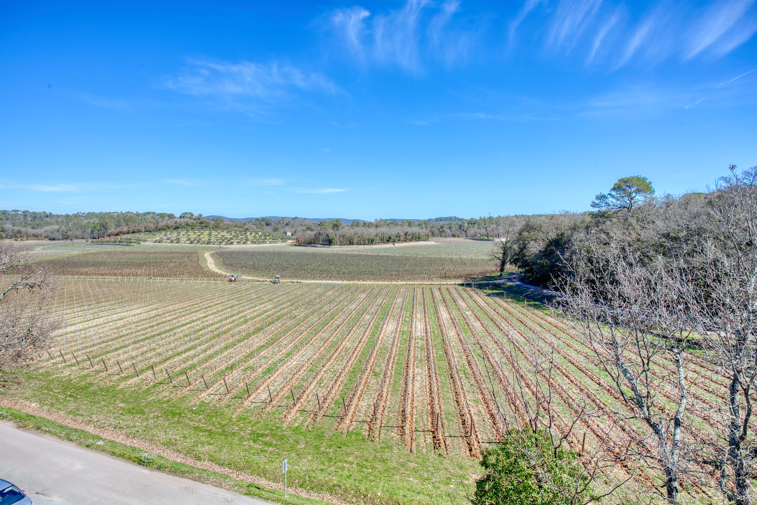 Vue pittoresque sur le domaine, place principale image