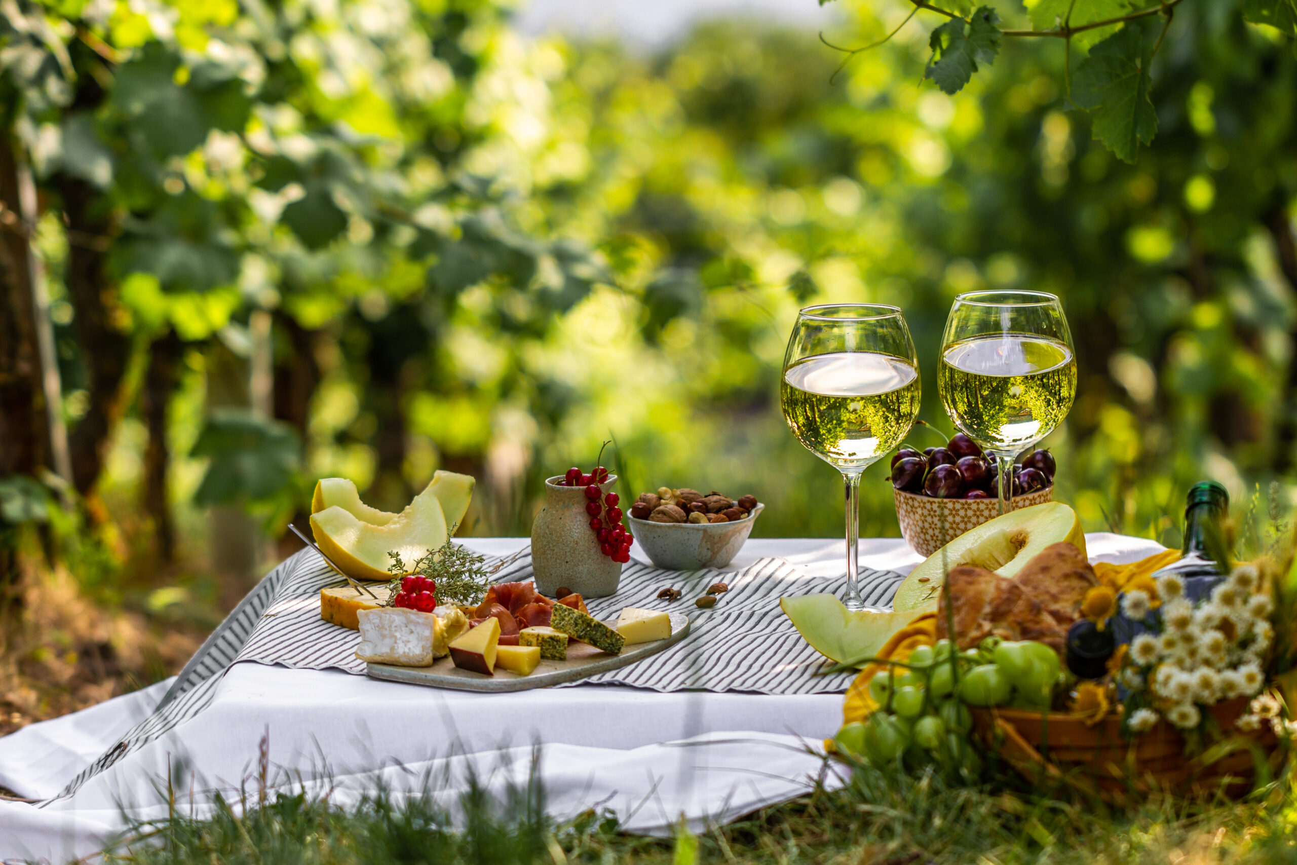 Picnic in the Malescasse Garden - activity image