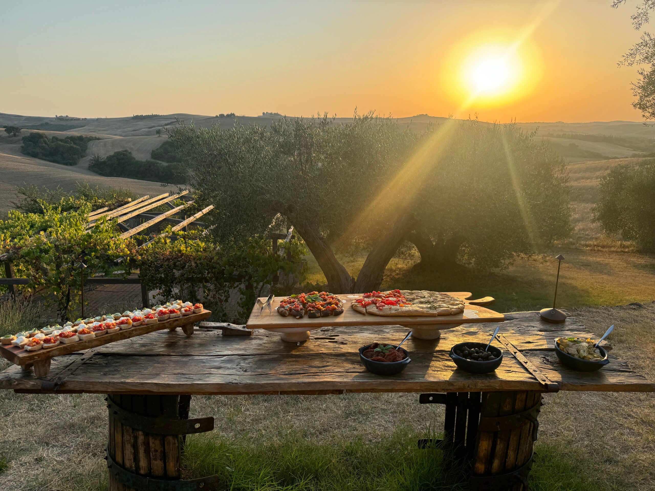 Private tour, tasting and Tuscan light lunch - activity image