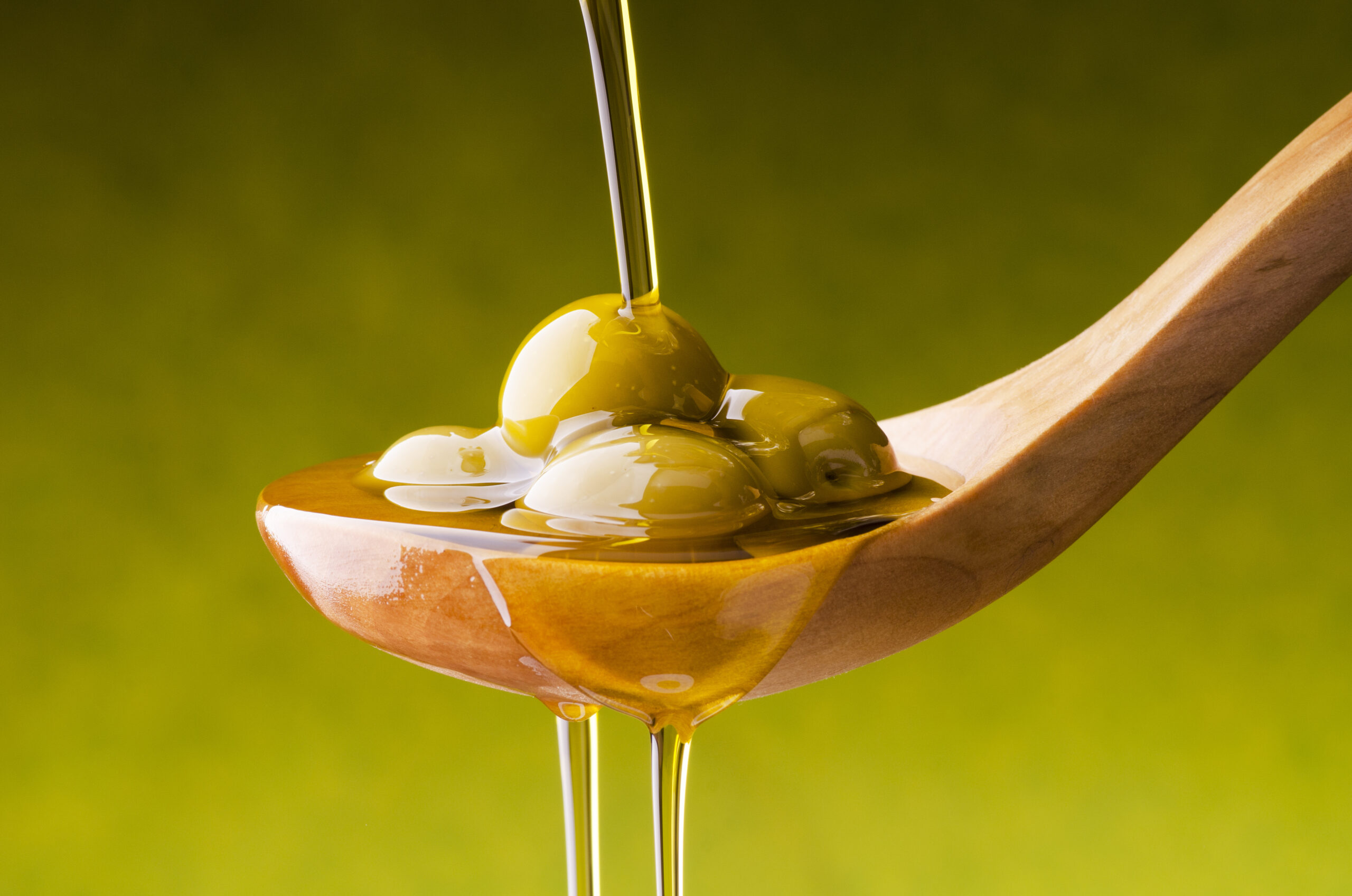 Production exclusive d'huile d'olive bio à la Villa CAN CARY - activity image