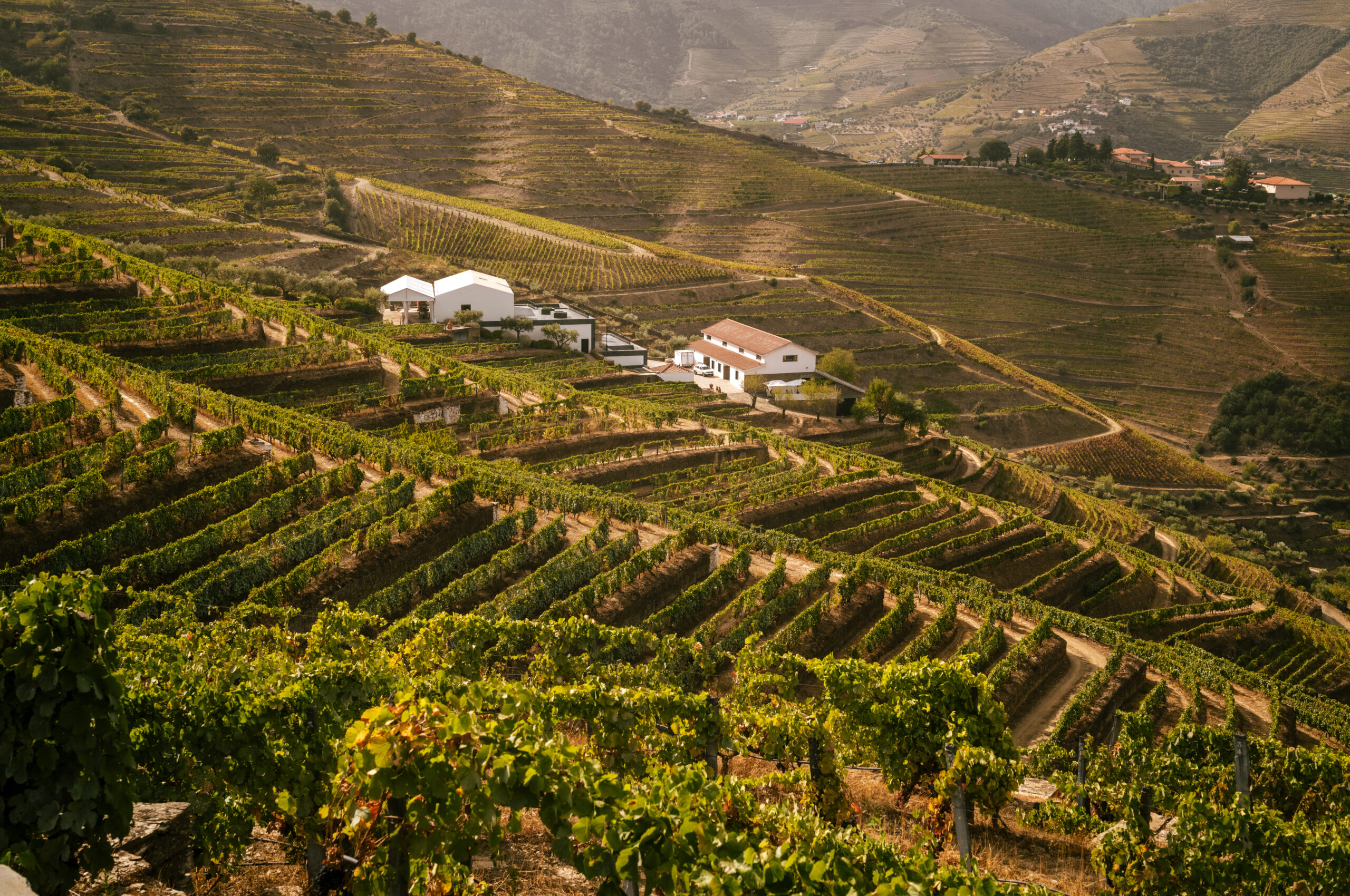 Domaine Quinta Da Côrte gallery